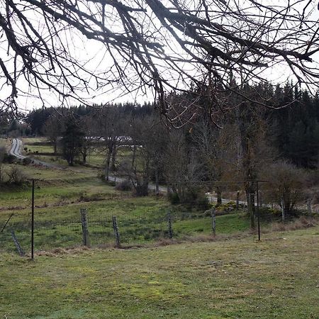 Villa La Crova à Félines Extérieur photo