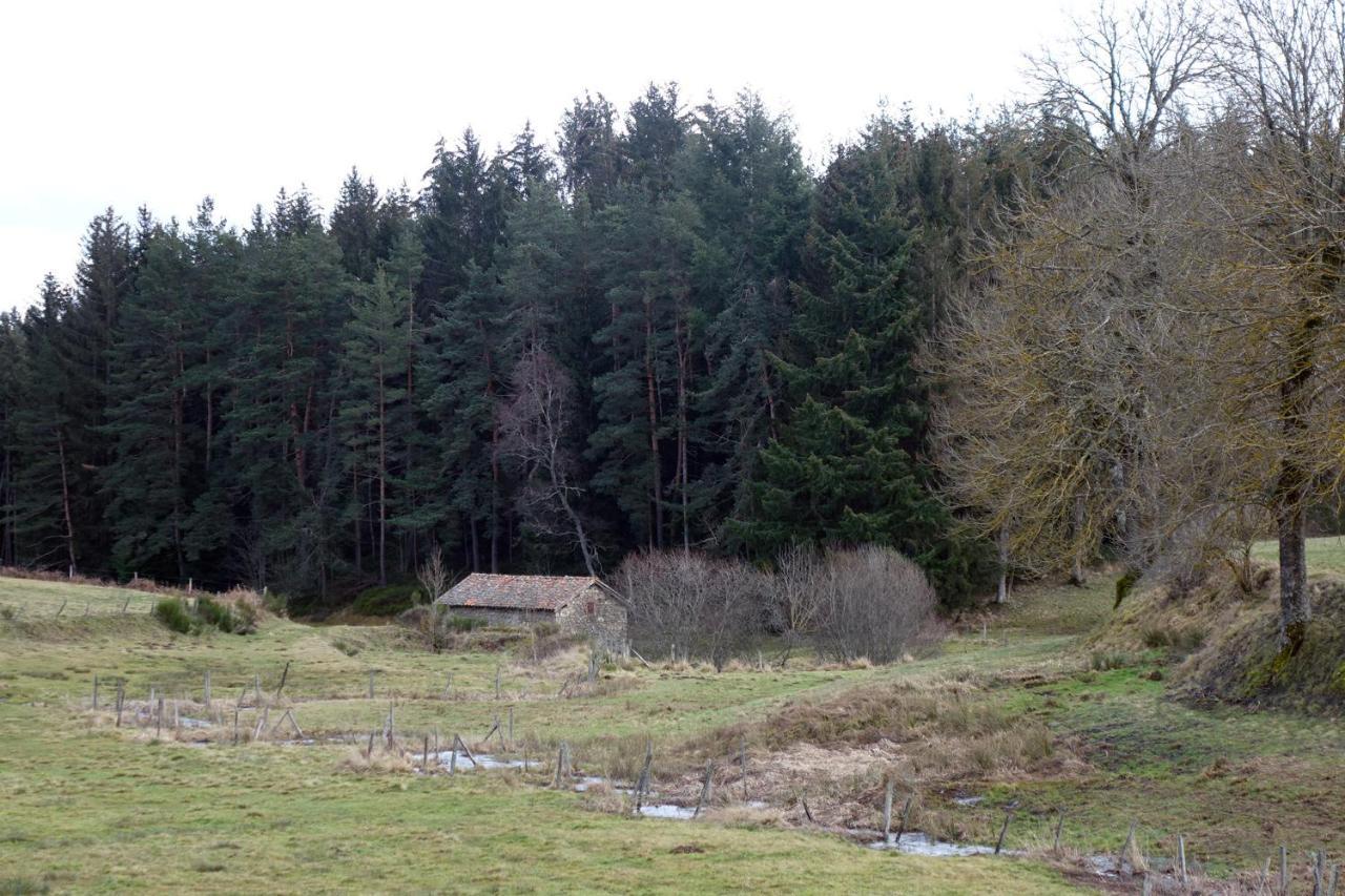Villa La Crova à Félines Extérieur photo
